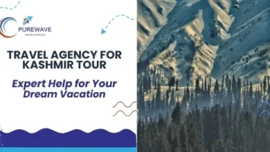 Best Travel Agency for Kashmir Tour