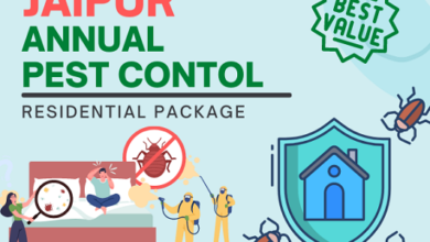 Best Pest Control Services in Jaipur