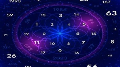 Best Numerologist in Mumbai