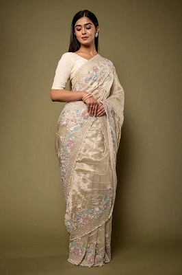 Fancy Tissue Sarees