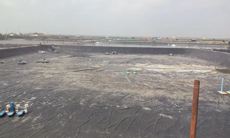 Aquaculture Pond Liner