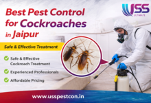 Best Pest Control for Cockroaches in Jaipur