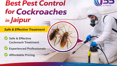 Best Pest Control for Cockroaches in Jaipur