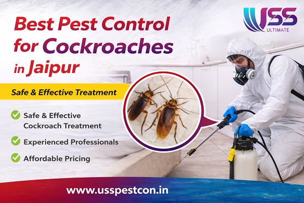 Best Pest Control for Cockroaches in Jaipur
