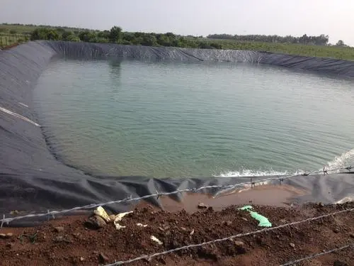 HDPE Pondliner