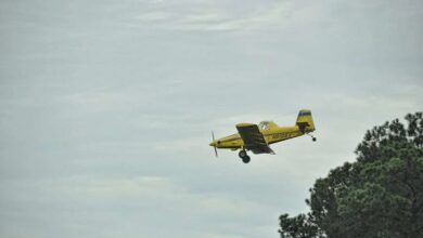 How do I contact to a Live Person at Expedia?