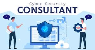 Cyber Security Consultant