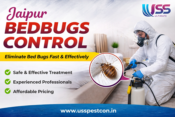 Jaipur Bedbugs Control