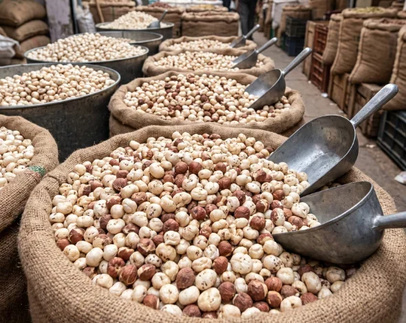 Roasted makhana manufacturer in india