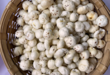 Wholesale Supplier of Makhana