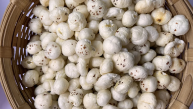 Wholesale Supplier of Makhana