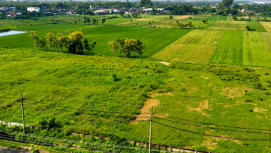 Residential Plot for Sale in Delhi​