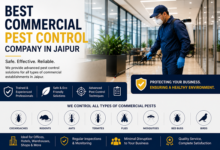 Best Commercial Pest Control Company in Jaipur