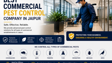 Best Commercial Pest Control Company in Jaipur