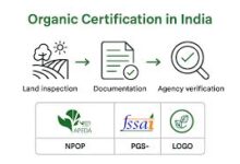 Organic Certification in India