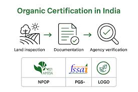 Organic Certification in India