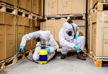 Commercial Pest Control in Jaipur
