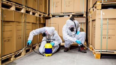 Commercial Pest Control in Jaipur
