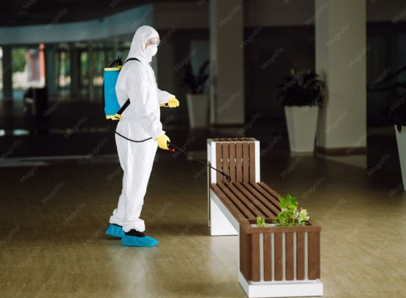 Pest Control Services for Malls in Jaipur