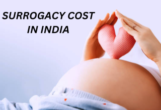 Surrogacy Cost India