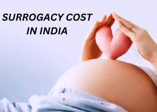 Surrogacy Cost India