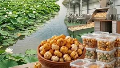Custom flavoured makhana supplier