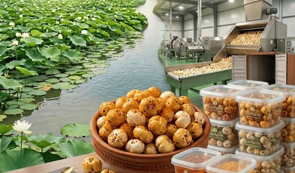 Custom flavoured makhana supplier