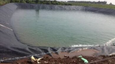 HDPE Pond Liner Manufacturer