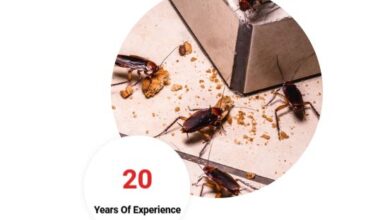 Residential Pest Control Chennai