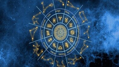 Bhrigu Nandi Vastu Services in Kanpur