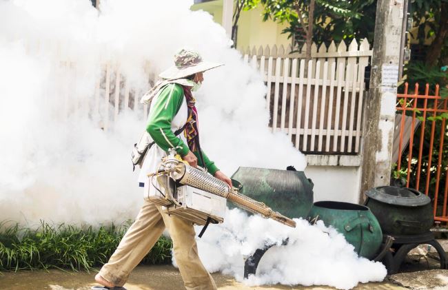 Fly Control Chennai