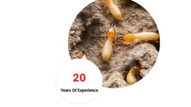 Termite Control Chennai