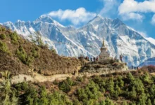 Travel Agent in Nepal